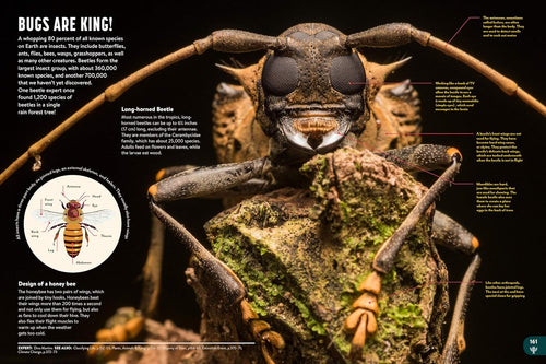 Britannica All New Kids' Encyclopedia: What We Know & What We Don't